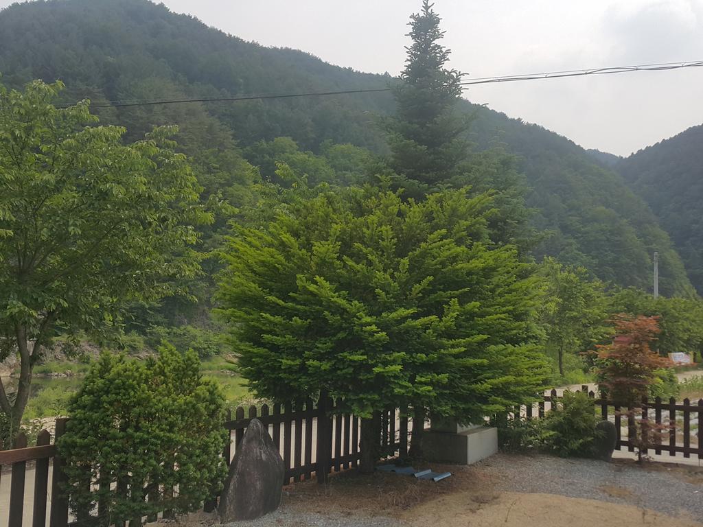 Pyeongchang River House Dış mekan fotoğraf